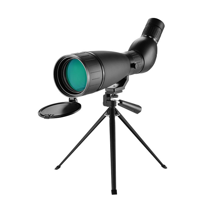 product-750-750 product-750-750